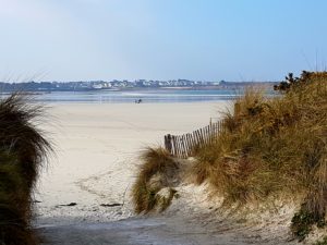horses-on-sweeping-white-sands-at-dossen-beach-near-roscoff